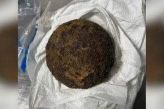 TSA stops Alabama traveler for Civil War-era cannonballs in luggage