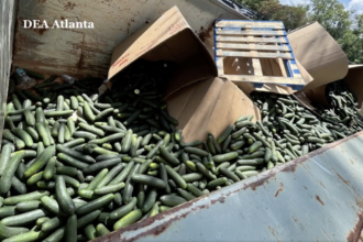 Two sentenced after being caught offloading 700 pounds of meth from semi trailer during DEA Georgia warehouse surveillance op