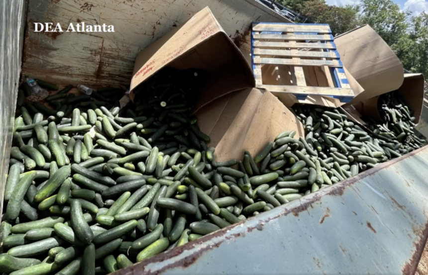 Two sentenced after being caught offloading 700 pounds of meth from semi trailer during DEA Georgia warehouse surveillance op