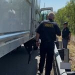 Non-domiciled CDLs: Legislation seeks more FMCSA oversight