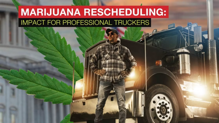 Trucking Law: Marijuana and what rescheduling means for truckers