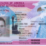 How non-domiciled CDL drivers will try to get FMCSA ban rejected