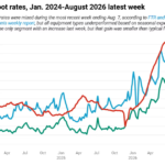Spot rates underperform, fuel prices dip