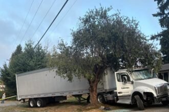 Man who stole semi truck kept ramming patrol cars until finally apprehended