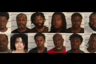 13 people arrested when police find them unloading $250k worth of stolen chicken from a semi truck parked behind a motel