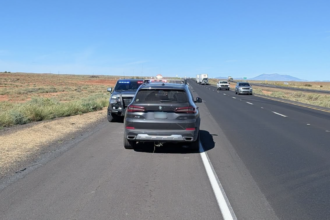 Arizona troopers issue alert about 'dangerous' new wrong-way driving game called 'Lunatic'