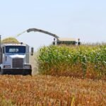 Will Trump pause diesel exports? Ag, fuel haulers' new regs relief