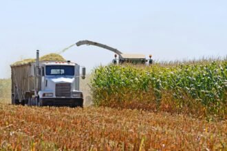 Will Trump pause diesel exports? Ag, fuel haulers' new regs relief