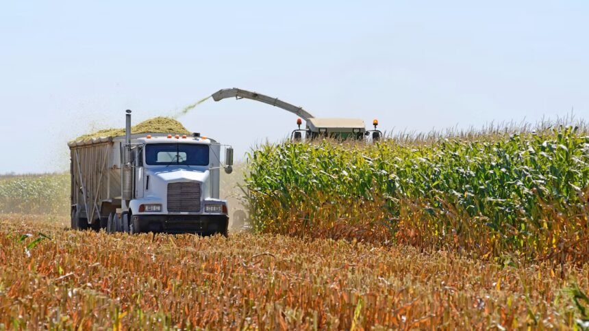 Will Trump pause diesel exports? Ag, fuel haulers' new regs relief