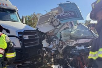 Coffee food truck obliterated in construction zone crash with semi truck