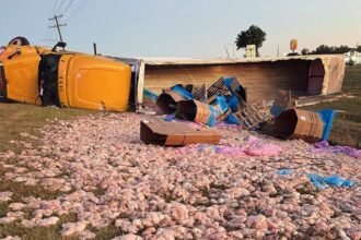 Steer tire blowout injures driver and spills load of raw chicken