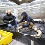 US Army, Navy research labs team up to combat Arctic cold