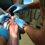 Errors in disability cases for ‘painful scars’ resulted in overpayment: VA watchdog