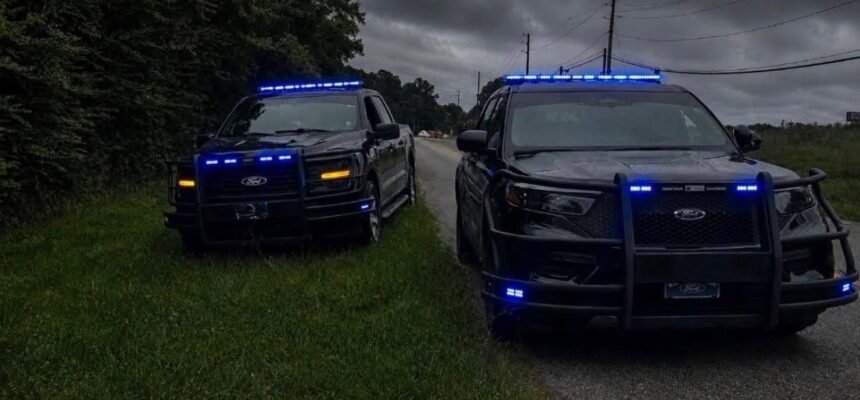 'Reverse Smokey and the Bandit': Two truckers teamed up to stop fleeing suspect on I-65 in Alabama