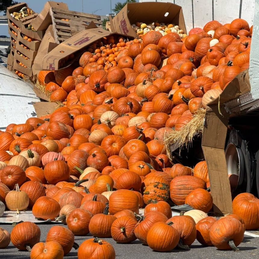 Hundreds of pumpkins spilled after tractor trailer hits 'low-hanging limb,' South Carolina cops say
