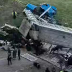 Livestock hauler plummeted off overpass and landed on another vehicle in crash that decimated cattle