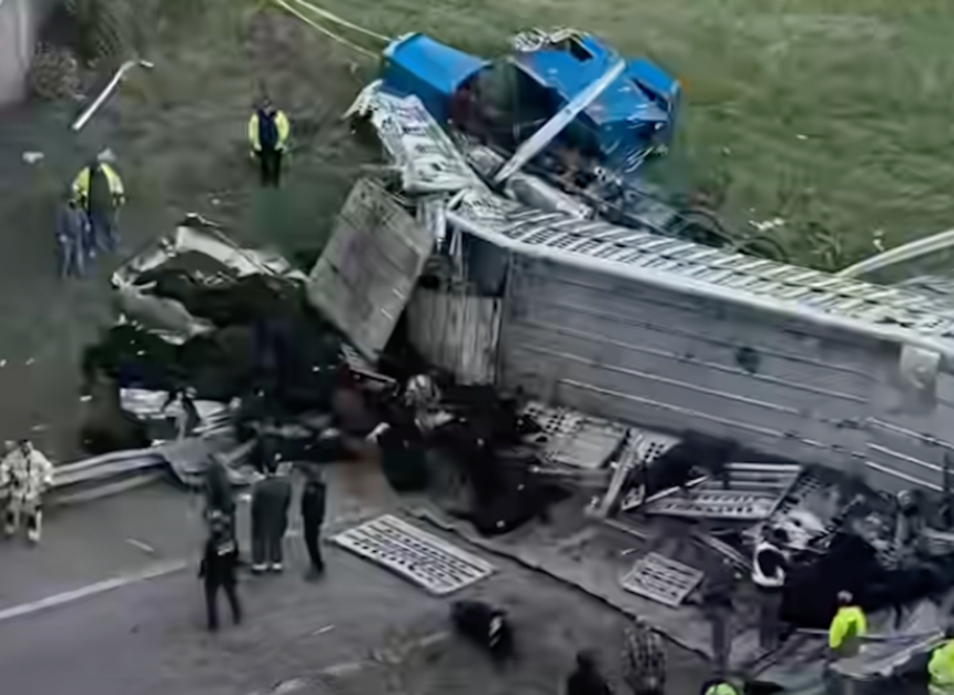 Livestock hauler plummeted off overpass and landed on another vehicle in crash that decimated cattle