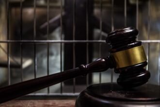 Attorney gets prison for New Orleans staged crashes | Great Dane 'do not drive' recall