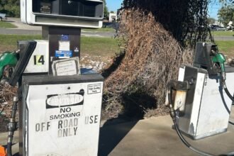 Will dyed diesel fuel damage my engine or void my warranty?